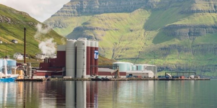 Færøsk fiskerilov forhindrer landinger i udlandet  Arkivfoto: Havsbrun