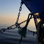 DFPO formand tager til genmæle overfor syv organisationer omkring trawlforbud i bælthavet - CSH