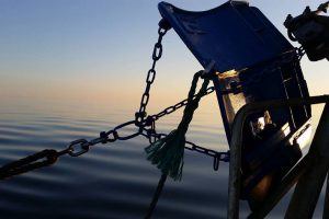 Trawlforbud i Bælthavet kan koste de lokale Havne livet. foto: CSH
