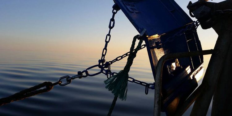 Trawlforbud i Bælthavet kan koste de lokale Havne livet. foto: CSH