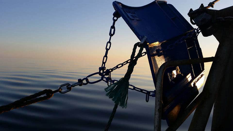 Read more about the article Trawlforbud i Bælthavet kan koste de lokale Havne livet