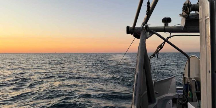Fiskere tøver med at investere i deres skibe, mens uvished om trawlfiskeriets fremtid holder erhvervet i et økonomisk og psykologisk jerngreb. Christiansborgs manglende handling skaber både frustration og reel risiko på havet. arkivfoto: RS 73 Annika Bønnerup strand