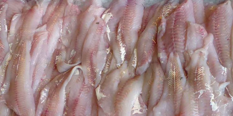 Selv efter mere end tre år med krig i Ukraine fortsætter danske fiskeriselskaber med at købe fisk fra Rusland – især torsk, som er en mangelvare i Vesten. Det skaber en tydelig dobbeltmoral, når Danmark og EU ellers vedholdende opfordrer alle lande til at boykotte russisk olie og gas, men samtidig inddirekte understøtter den russiske økonomi – og dermed krigsmaskinen – gennem import af fisk. arkivfoto wikip