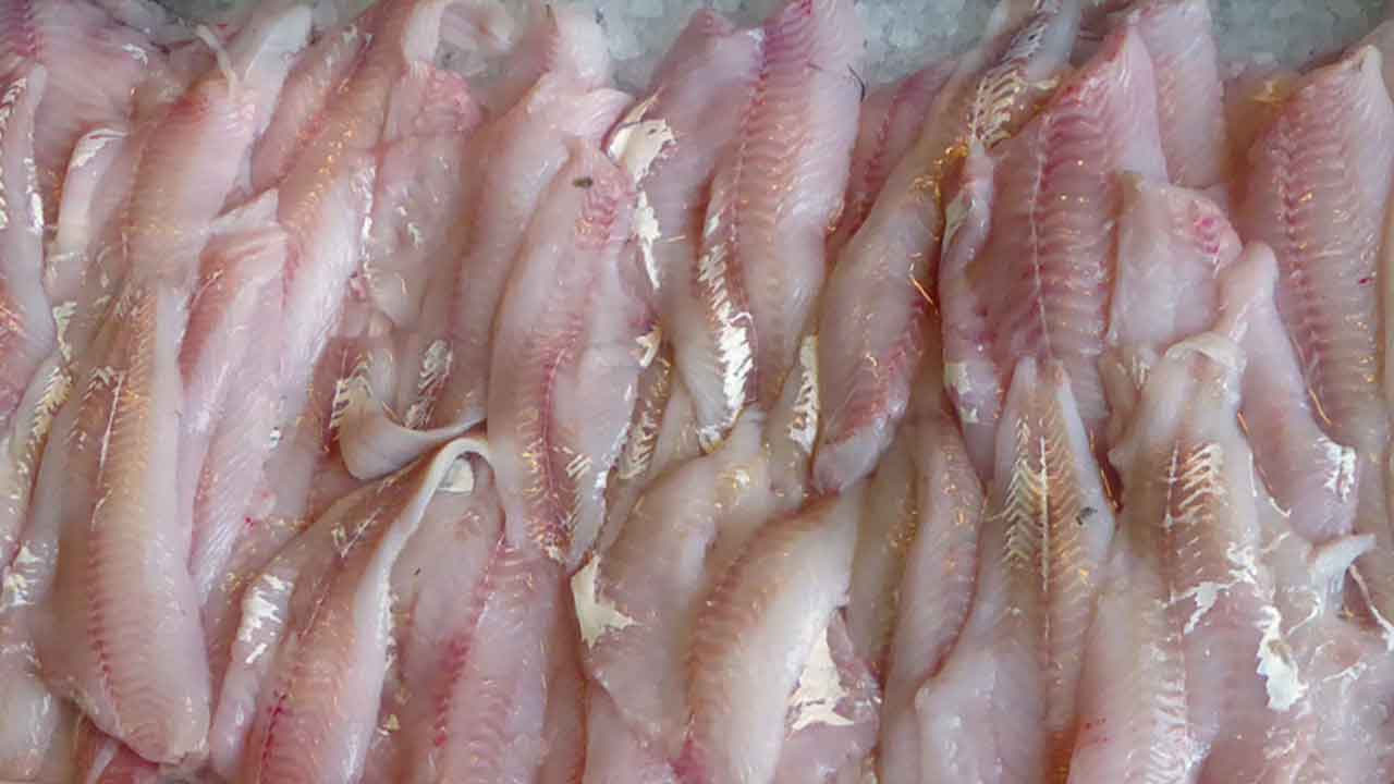 Read more about the article Dobbeltmoral ser ud til at trives i bedste velgående i dansk fiskeindustri