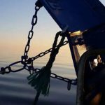 Klima-Realisme - Trawlfiskeriets Sande Bidrag til CO2-udledningen arkivfoto