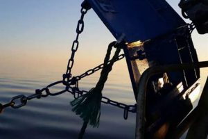 Klima-Realisme - Trawlfiskeriets Sande Bidrag til CO2-udledningen arkivfoto