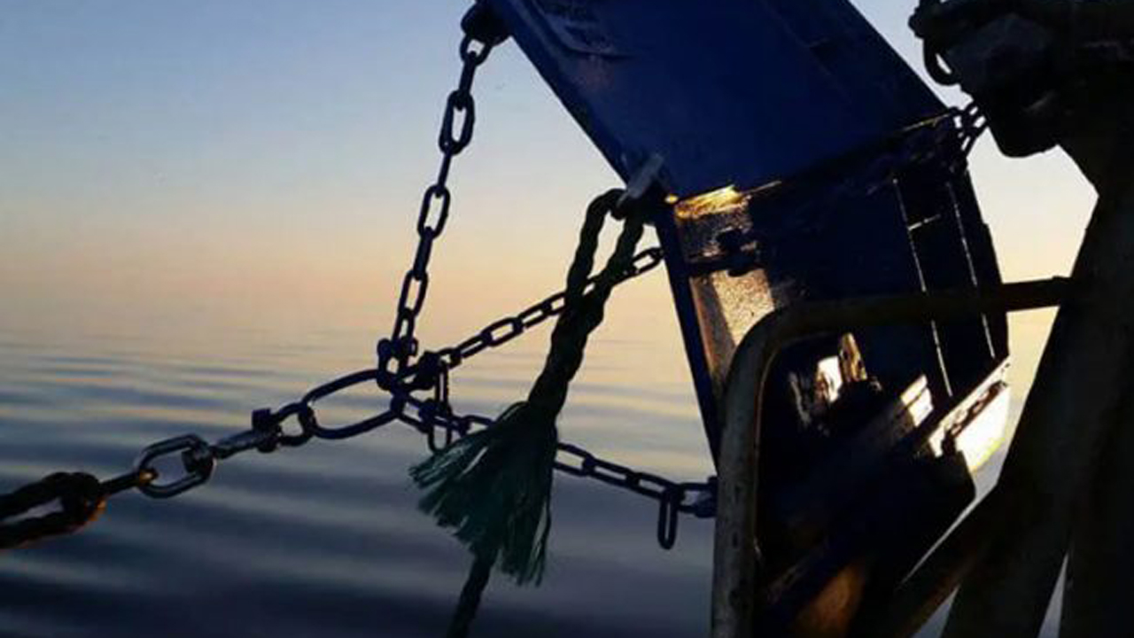 Read more about the article Klima-Realisme – Trawlfiskeriets Sande Bidrag til CO2-udledningen