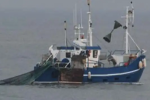 EU-plan om trawlforbud bliver kun en vejledning. arkivfoto: FiskerForum.dk