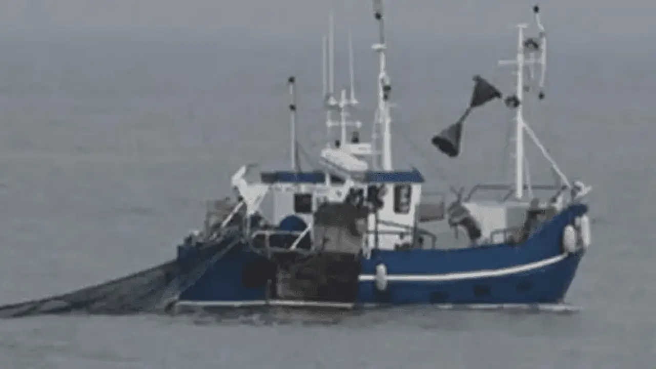 Read more about the article EU-plan om trawlforbud bliver kun en vejledning