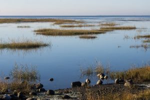 Danmarks naturområder skal have hjælp til at vende biodiversitets-krisen foto: Miljøstyrelsen