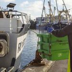 Arkivfoto - AI - FiskerForum.dk