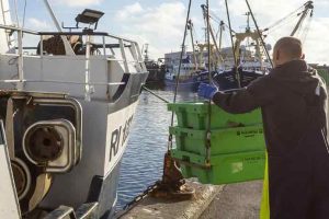 Arkivfoto - AI - FiskerForum.dk