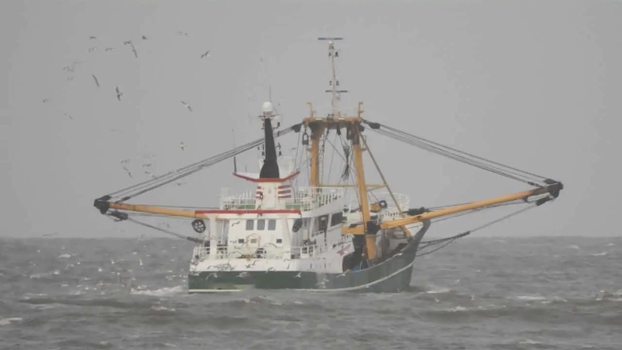 Read more about the article Fiskeristyrelsen opbringer hollandsk bomtrawler for ulovligt fiskeri i Nordsøen