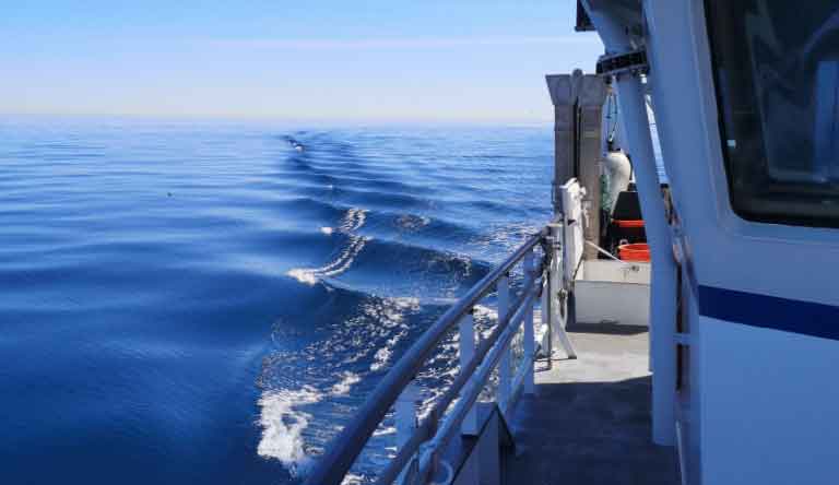 Read more about the article Klima: Et varmere hav ændrer spillereglerne