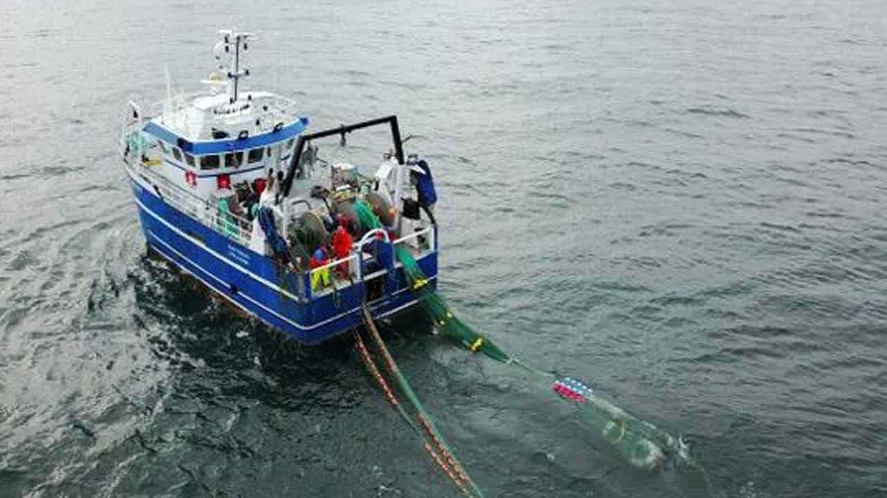 Read more about the article Når fakta forstyrrer fortællingen: DN og WWFs skjulte dagsorden mod dansk fiskeri