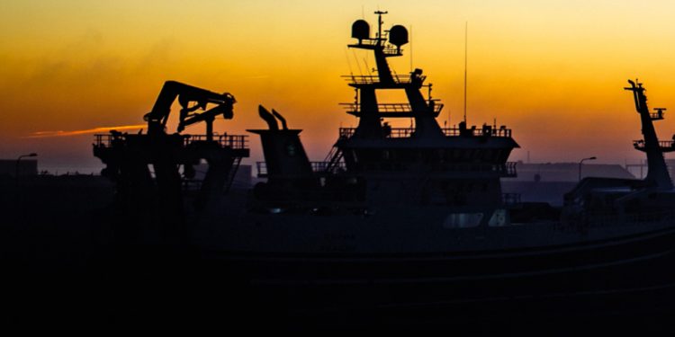 FF Nyt: Fornuftige industri fiske-kvoter – men... foto: FF Skagen