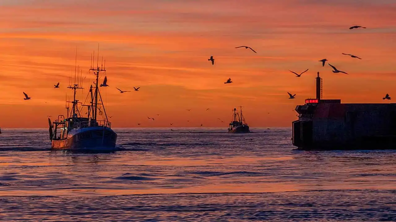 Read more about the article Slip fiskeriet fri efter årtiers regel-bureaukrati og tyranni