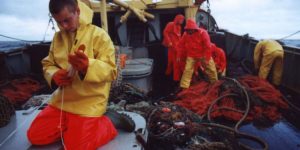 NGOer og Miljoeaktivister forsøger at liste bundtrawl-forbud igennem i Europa-parlamentet - foto: FiskerForum.com