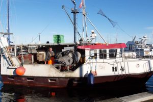 Kystfiskerne undgår 20.000 m2 havneslam i Øresund