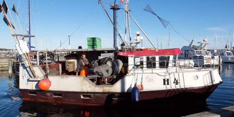 Kystfiskerne undgår 20.000 m2 havneslam i Øresund