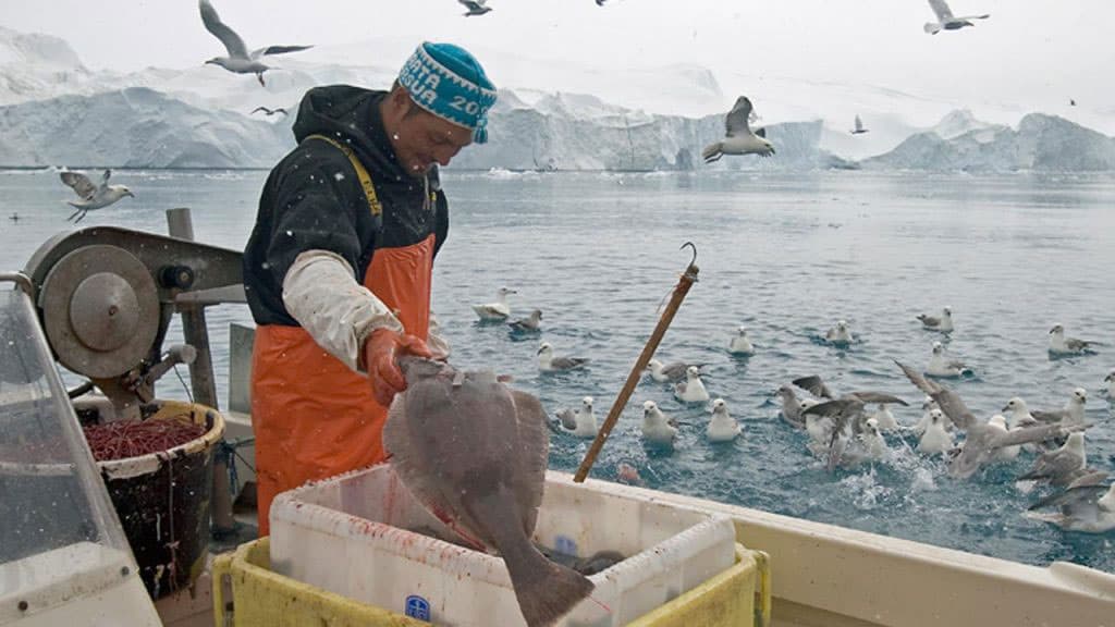 Read more about the article Grønland: Finanslovsforslags-overskud giver håb om ekstra penge til fiskerne