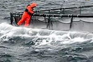 Tragisk dødsulykke i Norge under arbejde på et havbrug snapshot: Intrafish / FiskerForum.dk