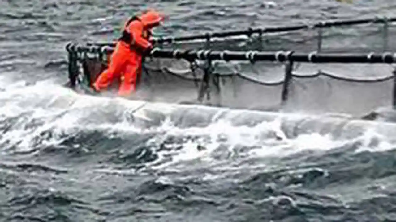 Read more about the article Tragisk dødsulykke i Norge under arbejde på et havbrug