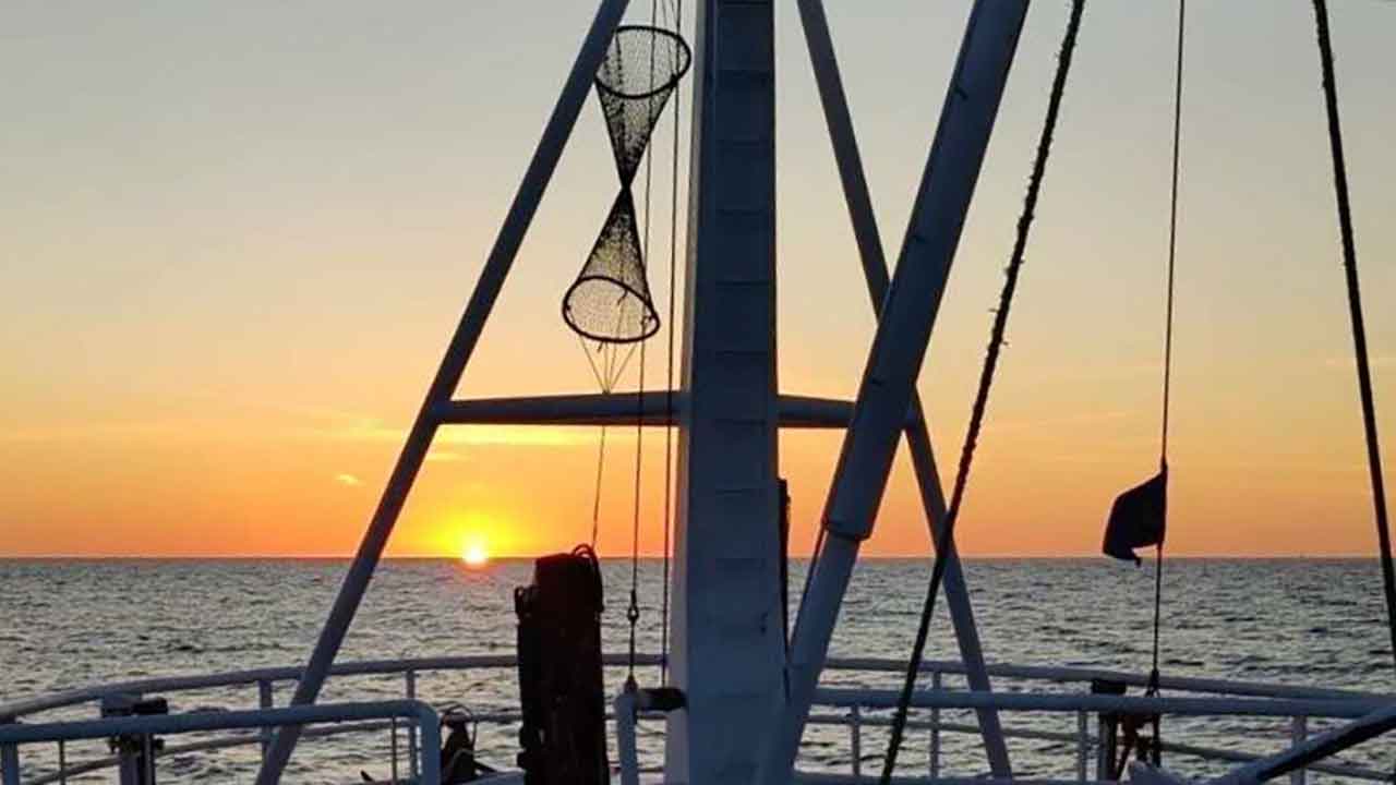 Read more about the article Ny fælles pulje: Dansk Puljefiskeri og Puljefiskeren bliver til Puljefisk.dk