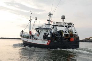 Danske fiskere har nu fået udbetalt i alt 791 mio. kr. i brexit-kompensation for værditab af deres kvoter. arkivfoto: Juli-Ane