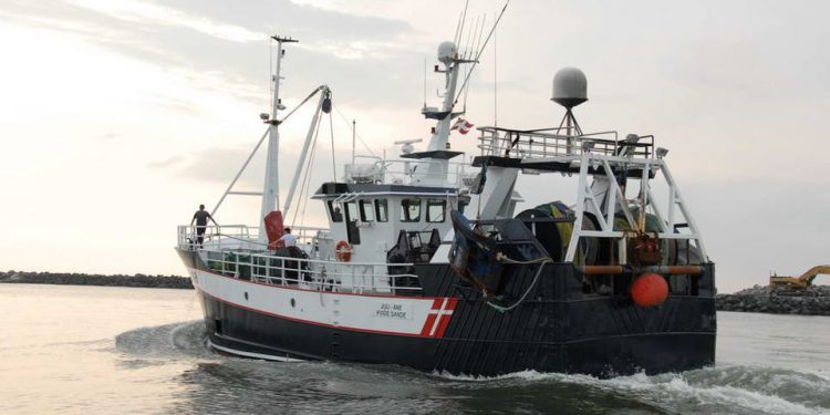 Danske fiskere har nu fået udbetalt i alt 791 mio. kr. i brexit-kompensation for værditab af deres kvoter. arkivfoto: Juli-Ane