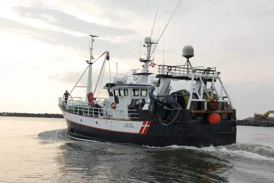 Read more about the article Danske fiskere har nu fået i alt 791 mio. kr. i Brexit-kompensation for værditab af deres kvoter