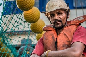 De fisk, vi kender som hverdagens sild og makrel, er i alvorlig fare. Nye tal fra Det Internationale Havforskningsråd (ICES) viser, at bestandene af makrel, sild og blåhvilling i Nordøstatlanten er styrtdykket til et kritisk lavt niveau. foto: MSC