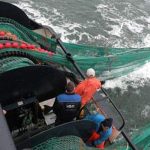 arkivfoto- trawl efter fladfisk - ok / fiskerforum.dk