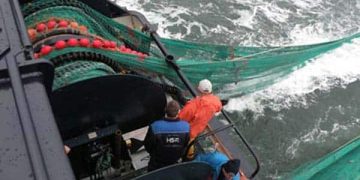 arkivfoto- trawl efter fladfisk - ok / fiskerforum.dk