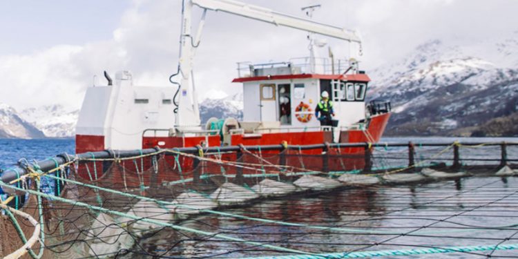 Norge: Ingen personskade efter brand i en Nordlaks-båd. arkivfoto: Nordlaks