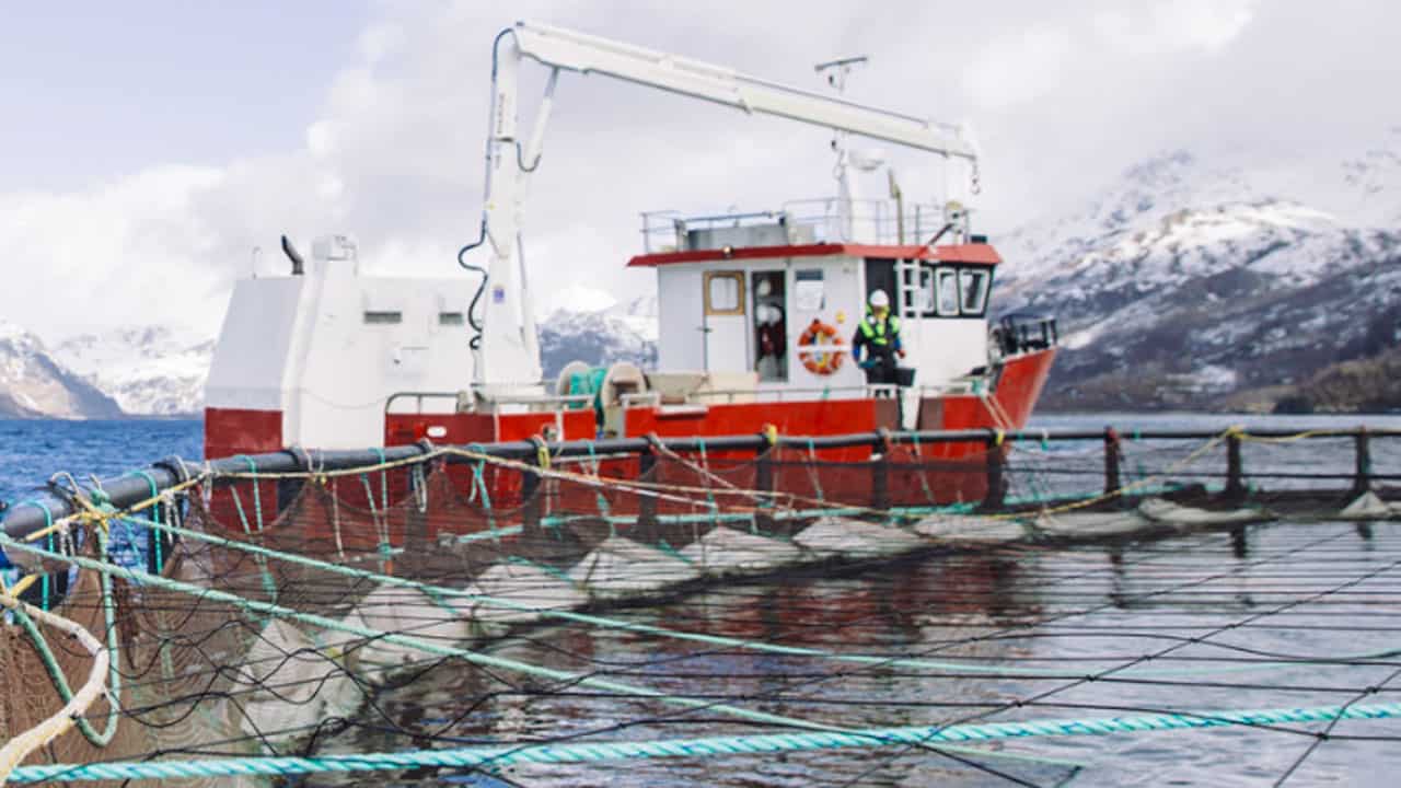 fiskerforum.dk