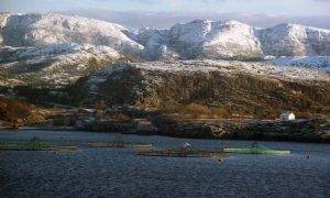 Norge sætter eksportrekord af fisk og skaldyr i oktober .  Arkivfoto: Norsk lakse havbrug - wikipedia