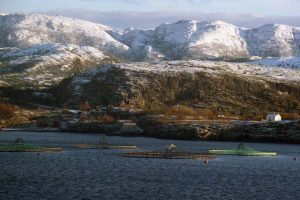 Norge sætter eksportrekord af fisk og skaldyr i oktober .  Arkivfoto: Norsk lakse havbrug - wikipedia