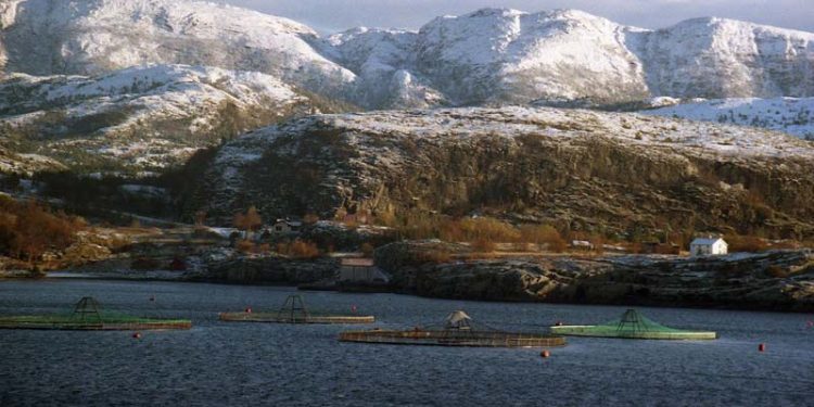 Norge sætter eksportrekord af fisk og skaldyr i oktober .  Arkivfoto: Norsk lakse havbrug - wikipedia