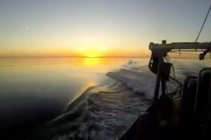 Skæbne-uge for Østersøens fiskere.  arkivfoto: Østersøen - CSH