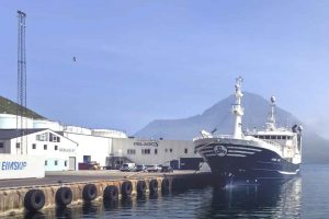 Flere fartøjer lander makrel til Fuglefjord og Tvøroyri foto: Pelagos