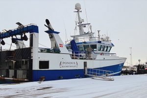 Hanstholm Havn trodser i et udfordrende 2021 og lander fisk for over 1 milliard. foto: Pondus - Ruby