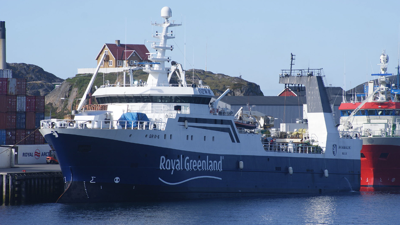 Read more about the article Royal Greenland lander historisk underskud