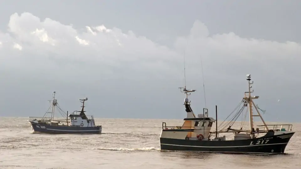 Read more about the article Ny analyse estimerer omkostningerne ved klimaomstillingen i fiskeriet