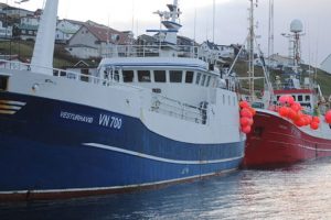 Fiskerireformen skaber fortsat politisk krise på Færøerne
