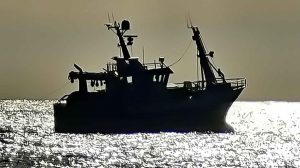 I et høringssvar om nye fiskeritiltag i Oslofjorden, tager de to norske forskerne Dr. Scient og pensioneret havforsker Terje Jørgensen og Dr. Scient og pensioneret havforsker Odd Aksel Bergstad rejetrawlerflåden i forsvar. De tvivler på, at det nye fiskeforbud vil have nogen særlig effekt.