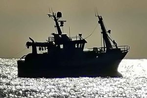 I et høringssvar om nye fiskeritiltag i Oslofjorden, tager de to norske forskerne Dr. Scient og pensioneret havforsker Terje Jørgensen og Dr. Scient og pensioneret havforsker Odd Aksel Bergstad rejetrawlerflåden i forsvar. De tvivler på, at det nye fiskeforbud vil have nogen særlig effekt.