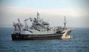 Nu jagter havforskerne makrelen i det Nordøstlige Atlanterhav. foto: Hi.no - Kjartan Mæstad