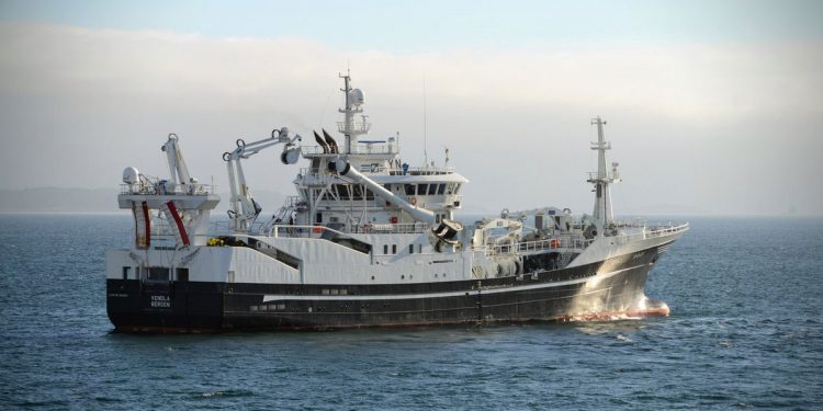 Nu jagter havforskerne makrelen i det Nordøstlige Atlanterhav. foto: Hi.no - Kjartan Mæstad