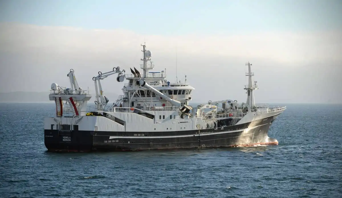 Read more about the article Nu jagter havforskerne makrelen i det Nordøstlige Atlanterhav